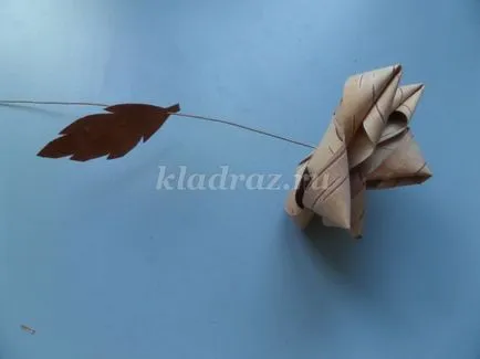 Emelkedett nyírfakéreg kezük