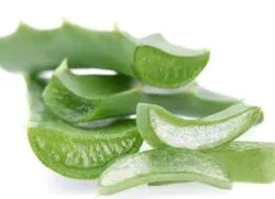Mitől Aloe