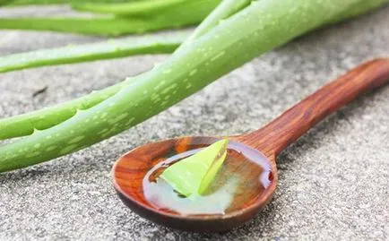 Mitől Aloe Mitől Aloe