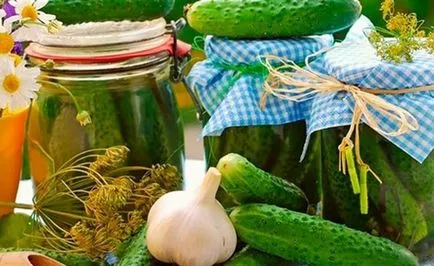 Uborka sós recept ropogós gyorsétterem a csomagot, és a bank - lépésről lépésre recept