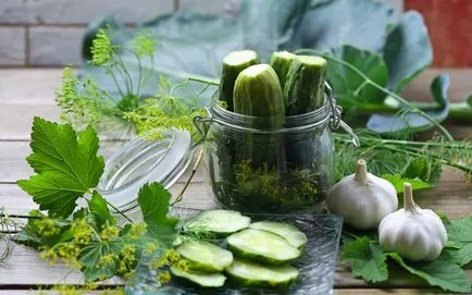 Uborka, pácolt téli bankokban egyszerű receptek, hogyan savanyú uborka, fotók és videó (lé) Uborka, pácolt téli bankokban egyszerű receptek, hogyan savanyú uborka, fotó és videó