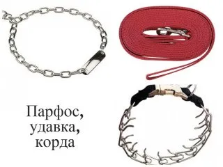 Alapjai képzés kutyák és kölykök vadászat videó természetesen - a tanulás dolgozni földeket