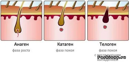 Tapasztalja meg a hazai szőrtelenítés - kísérlet száma három (szőrtelenítés) Tapasztalja meg a hazai szőrtelenítés - kísérlet a hármas szám