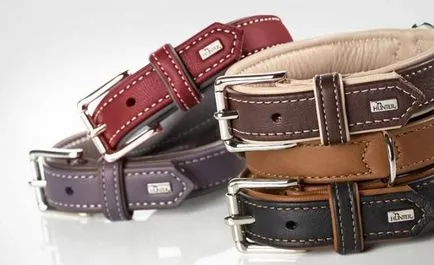 A nyakörv vagy hám - ez jobb egy kutya