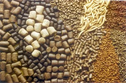 Jellemzők takarmány brojlercsirkék és recept főzzük kezük (különösen) Jellemzők takarmány brojlercsirkék és recept főzzük a kezüket