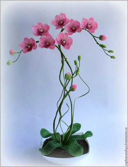 Orchideák bead mester osztály és a szövés rendszer kezdők (gyöngyök) Orchideák bead mester osztály és a szövés rendszert a kezdők