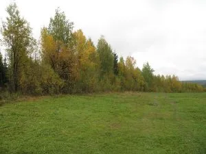 Vadászat a nyulat a chernotropu