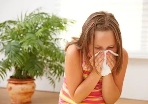 Poratka képek parazita, az allergiás reakciók jelei és kezelésük
