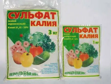 Első termékenyítő uborka üvegházban