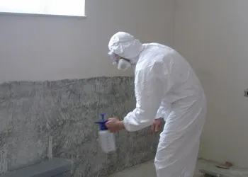 Penész a lakásban, hogy megszabaduljon a lepedék a falakon, különleges szerszámok és egyszerű módszereket