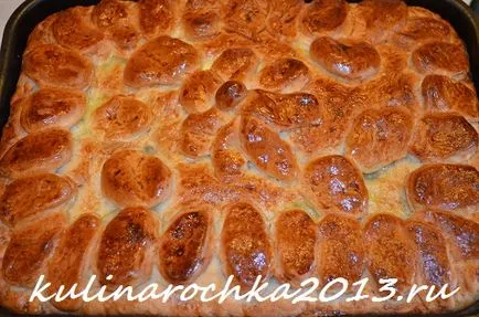 Torta nyers burgonyát és a hagymát - főzni finom, szép és otthonos!