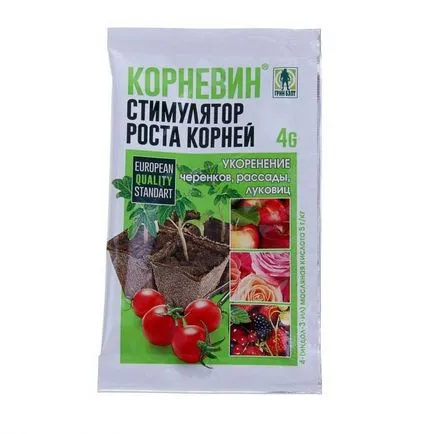 Miért ne Anthurium virágzás otthon, hogyan kell vigyázni, hogy virágzott, és mi a teendő során