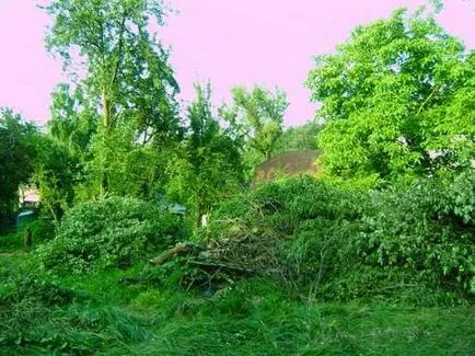A helyszín előkészítése építési házak Photo & Video (szakasz) A helyszín előkészítése az építési home fotó és videó