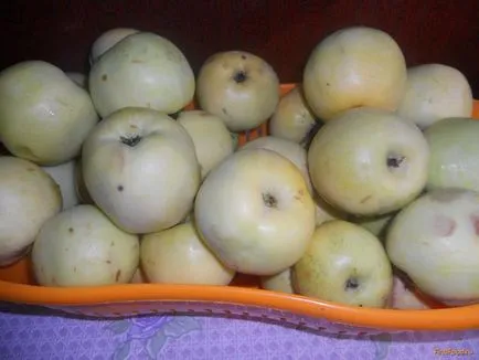 Paradicsom almával a téli recept fényképpel (paradicsom) Paradicsom almával a téli recept egy fotó