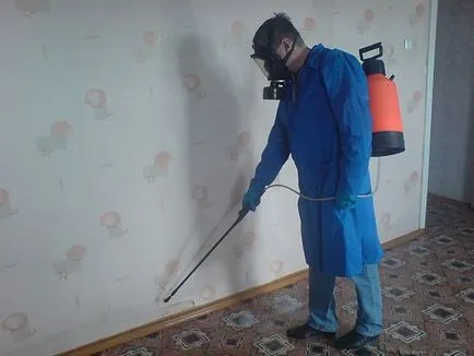Bed atkák (fotó) -, hogyan lehet azonosítani, és hogyan, hogy a paraziták (élősködők) Bed atkák (fotó) -, hogyan lehet azonosítani, és hogyan, hogy a paraziták