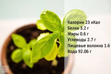Hogyan kell használni a bazsalikom