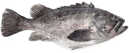 A megfelelő táplálkozás allergia