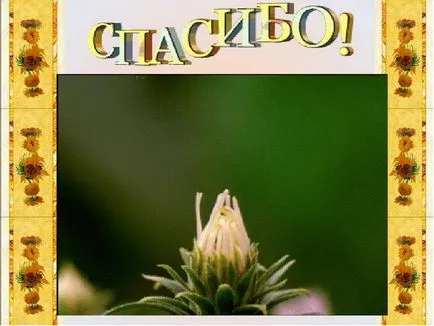 Előadás milyen téma