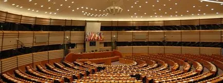 foglalkozás politika
