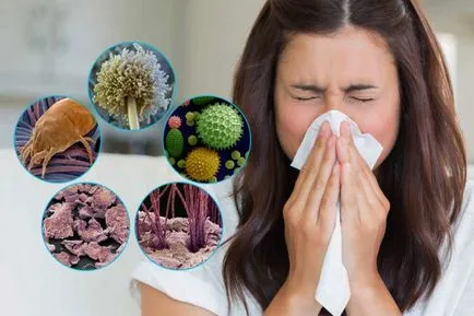 Az okok az allergia, ez a fajta van, és miért történik