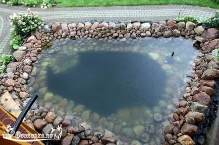 A tó az ország - hogyan csináld magad, lépésről lépésre képekkel (a tavat a kezét) A tó az ország - hogyan csináld magad, lépésről lépésre fotókkal