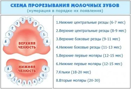 Fogzás tünetei felső fogak gyermekeknél, fotók az íny, hogyan lehet segíteni a csecsemők