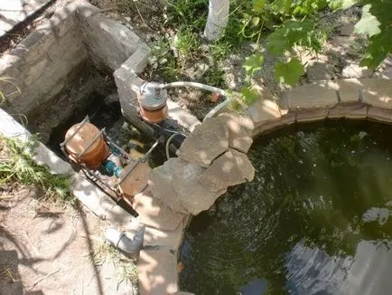 A tó az ország saját kezűleg lépésről lépésre, fotó, videó