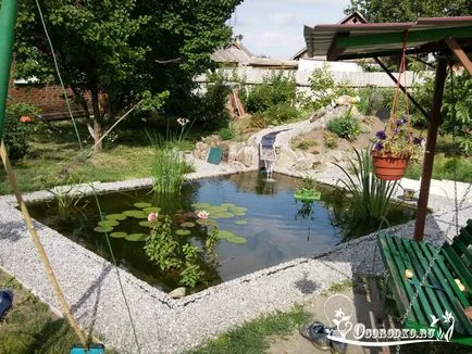 A tó az ország - hogyan csináld magad, lépésről lépésre képekkel (tó) A tó az ország - hogyan csináld magad, lépésről lépésre fotókkal