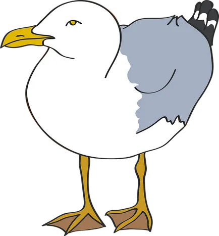 Bird angol - Bird nevű angol fordítással