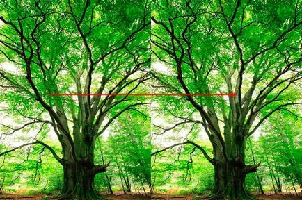 Megfordítása, forgás, tükörképe tárgyak photoshop (Enter alkalmazás akció) U-turn, forgatás, tükrözés tárgyak photoshop