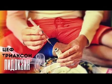 Tenyésztési antibiotikumok algoritmus intézkedések és berendezések (antibiotikumok) Tenyésztési algoritmus antibiotikumok munka és a technikus