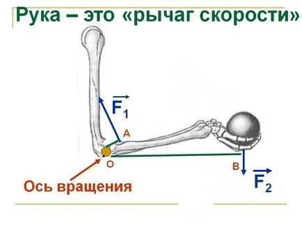 Hand - a 