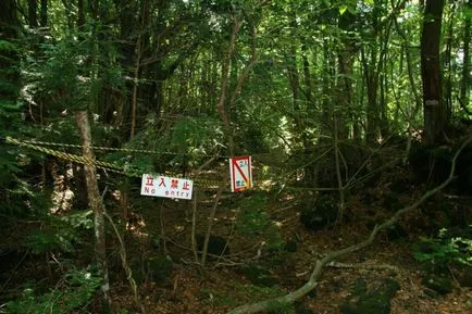 A legrosszabb hely a földön, szörnyű és veszélyes a bolygónkon (szörnyű) A legrosszabb hely a földön, szörnyű és veszélyes bolygónk