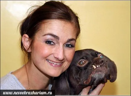 A legijesztőbb kutya a világon (a legtöbb) A legijesztőbb kutya a világon