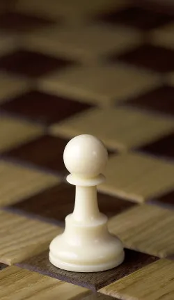 Sakkfigurák, sakk