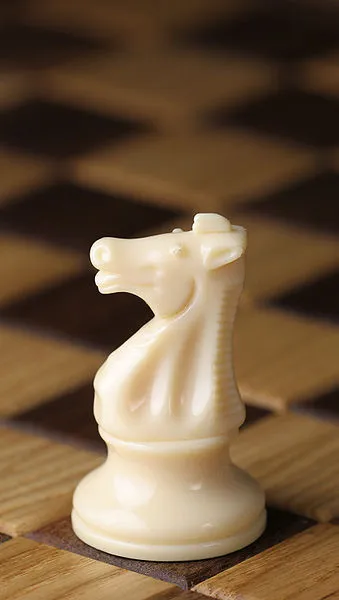 Sakkfigurák, sakk