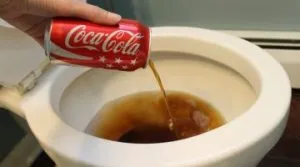 Hogyan tisztítsa meg a WC-