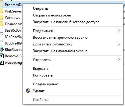 Rejtett mappák a Windows 10, szerver konfiguráció Windows és Linux