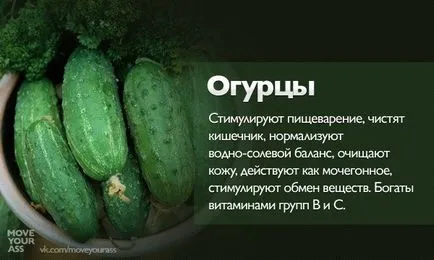 Hány kalória uborka, enyhén sós vagy ecetes