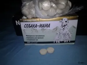 Kutya anya (vitaminok) kutyák, vélemények a kábítószer-használat az állatok az állatorvosok és a (kutya-mama) Kutya anya (vitaminok) kutyák, vélemények a kábítószer-használat az állatok az állatorvosok és a