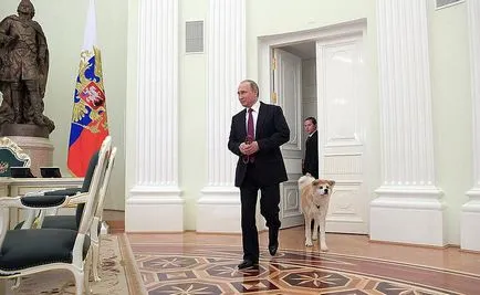 Dog JME, ami Putyin az újságírókat, mint a karakter az elnök - politikus a világon (JME kutya) Dog JME, ami Putyin az újságírókat, mint a karakter az elnök - politikus a világon