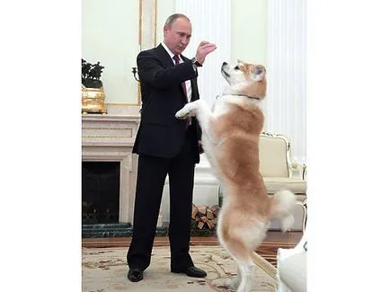 Dog JME, ami Putyin az újságírókat, mint a karakter az elnök - politikus a világon (a világ) Dog JME, ami Putyin az újságírókat, mint a karakter az elnök - politikus a világon