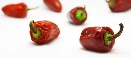 Tippek a képek az élelmiszer