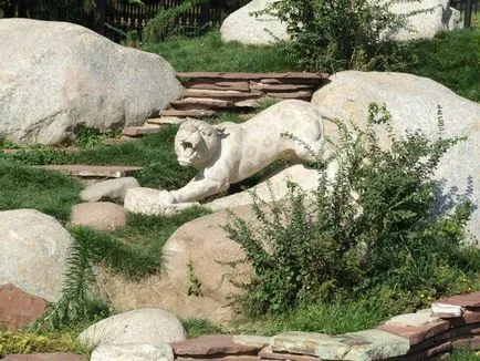 Készítsen sziklakertek az ország saját kezűleg - lépésről lépésre