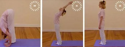 Surya Namaskar kezdőknek és nem csak