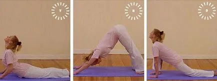Surya Namaskar kezdőknek és nem csak