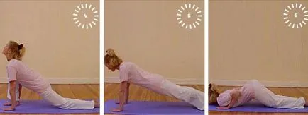 Surya Namaskar kezdőknek és nem csak