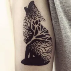 Tattoo farkas - azaz tetoválás vázlatok és fényképek (tetoválás) Tattoo farkas - érték tetoválás minták és képek