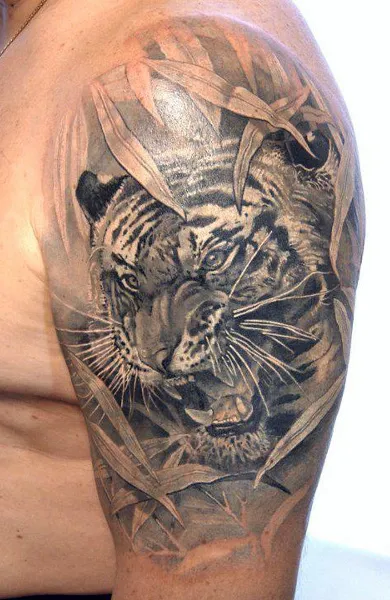 Tattoo vigyor a farkas, tigris, medve, oroszlán - jelentését és fotók