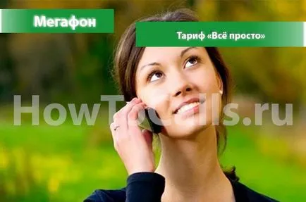 Tarifa „egyszerű” a hangszóró - egy leírást, hogyan kell csatlakoztatni, és hogyan kell letiltani a tarifa egyszerű megafon